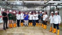 Asosiasi Pedagang Daging Indonesia Apdi
